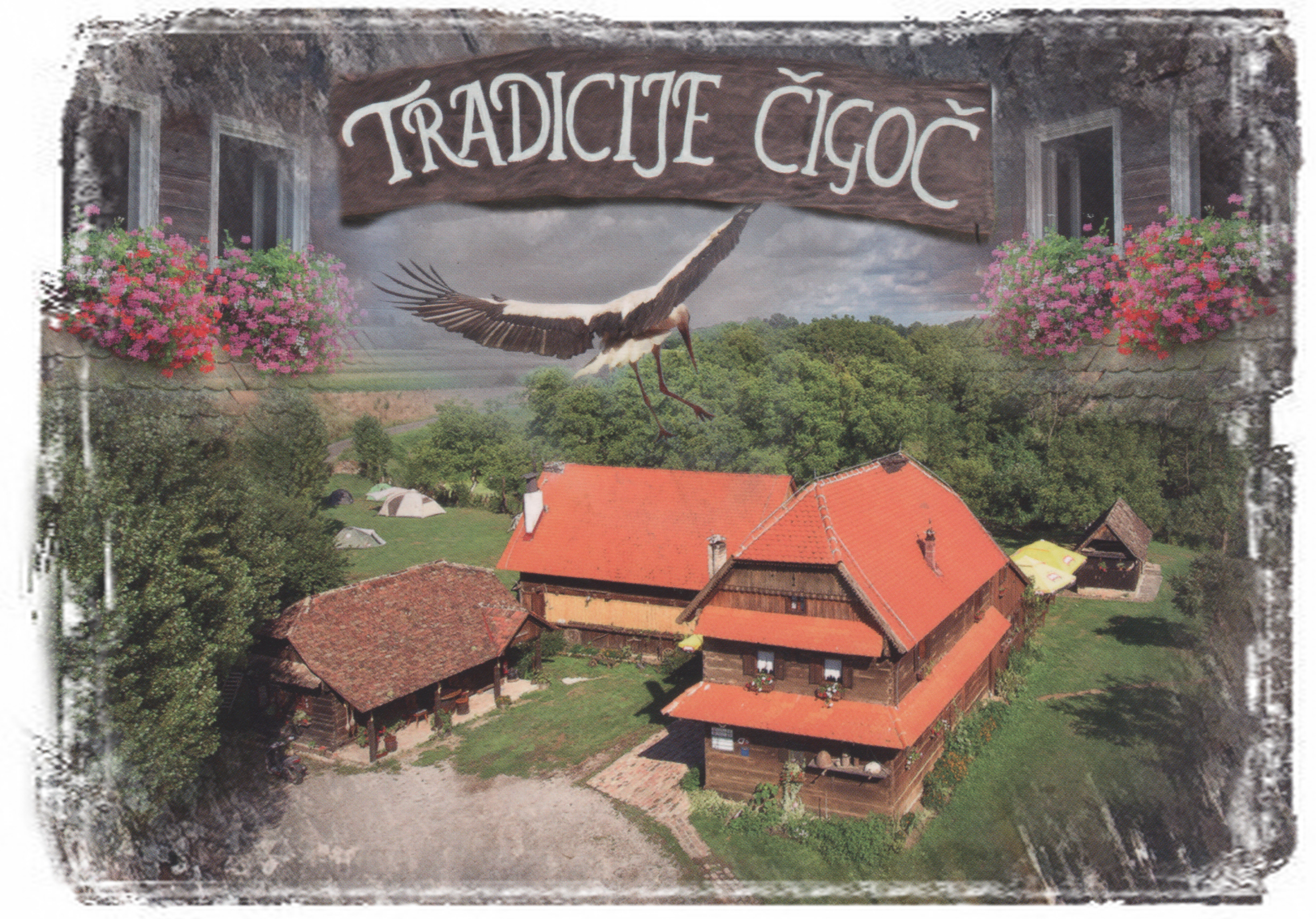 ./005_cr333_1770921175397